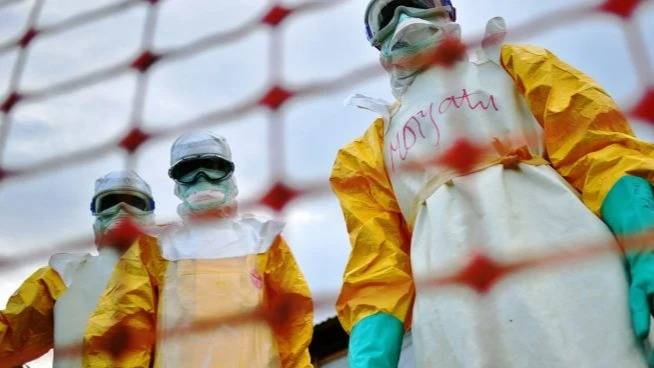 Alarma en Europa: Francia detectó el primer caso de ébola fuera de África