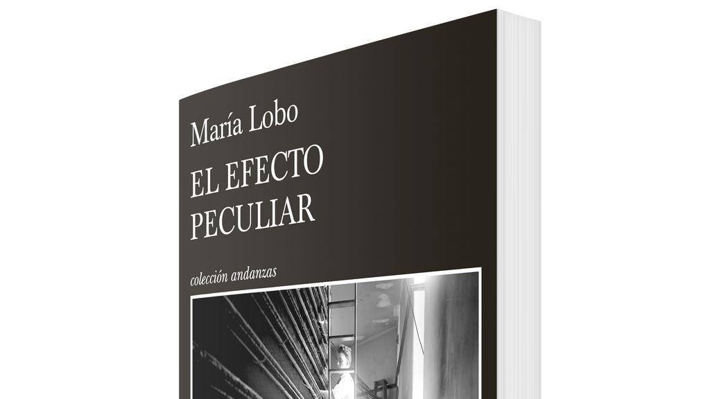 El efecto peculiar, la última novela de María Lobo: un camino para conectar la música con las personas