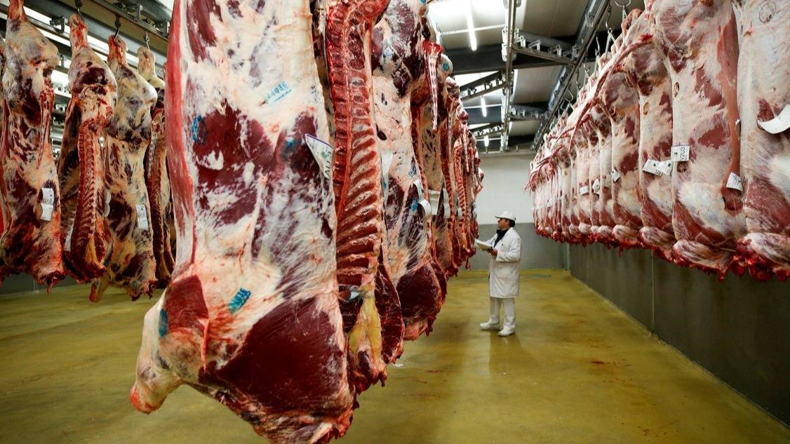 Competitividad, cambios en el consumo cárnico y lucha contra la informalidad, las prioridades del sector frigorífico