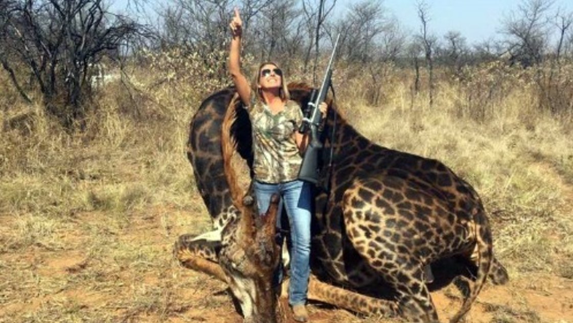 Posó con una jirafa muerta y causó indignación en las redes Posó con una jirafa muerta y causó indignación en las redes