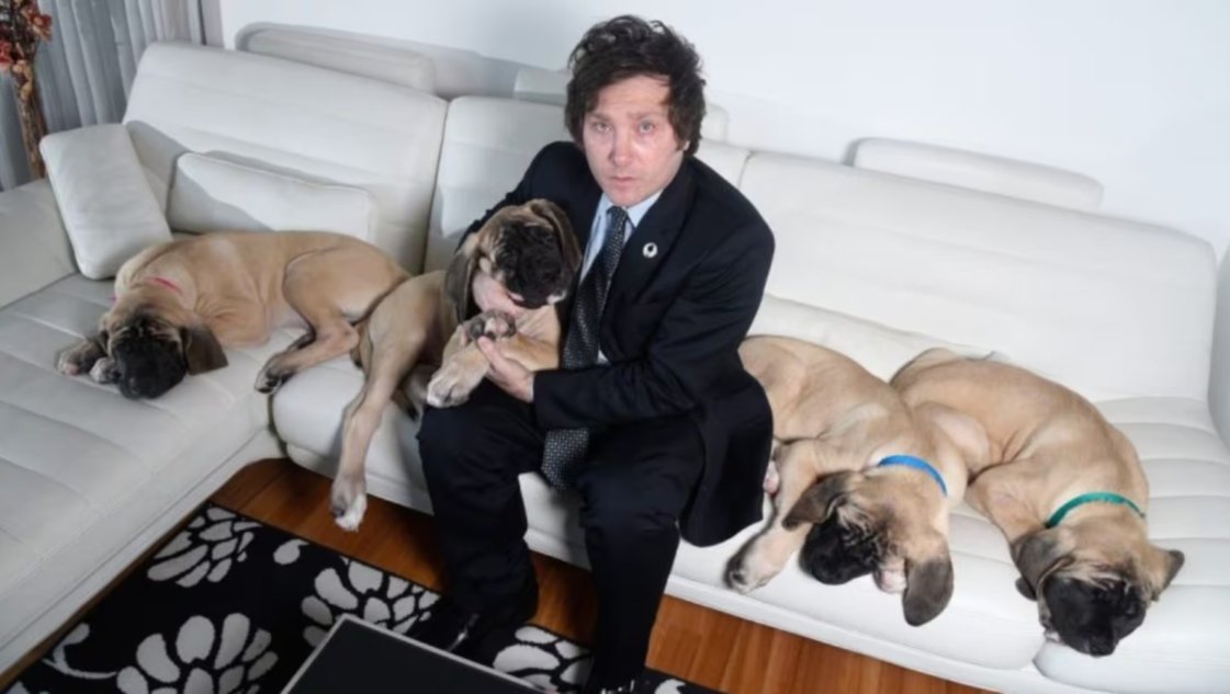 Ley Conan: comienzan a debatir el aumento de las penas contra el maltrato y la crueldad animal Ley Conan: comienzan a debatir el aumento de las penas contra el maltrato y la crueldad animal