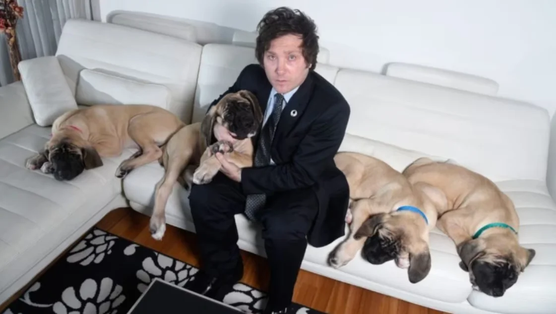 Ley Conan: comienzan a debatir el aumento de las penas contra el maltrato y la crueldad animal Ley Conan: comienzan a debatir el aumento de las penas contra el maltrato y la crueldad animal