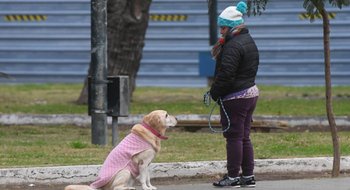El pronóstico: así estará el tiempo este jueves en la ciudad