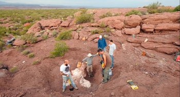 Descubren en Neuquén una nueva especie de dinosaurio que vivió hace 95 millones de años