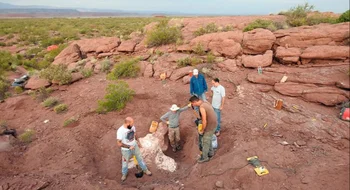 Descubren en Neuquén una nueva especie de dinosaurio que vivió hace 95 millones de años