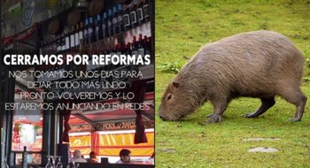 Desde el restaurante clausurado por vender carne de carpincho dicen que cerraron "por reformas"
