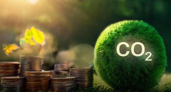Mercados de carbono: ¿en qué lugar está la Argentina?