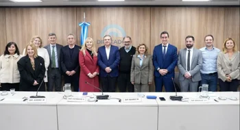 Viedma planteó la situación municipal en el Congreso de la Nación