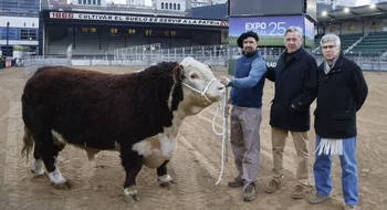 El primer animal de la Exposición Rural de Palermo llegó desde Espartillar
