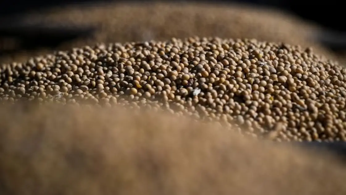 Así quedan las retenciones, tras el anuncio de Javier Milei en la Exposición Rural de Palermo