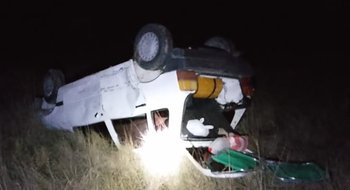 Un auto volcó en la ruta nacional 3, luego de chocar un jabalí