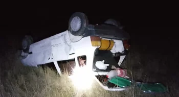 Un auto volcó en la ruta nacional 3, luego de chocar un jabalí