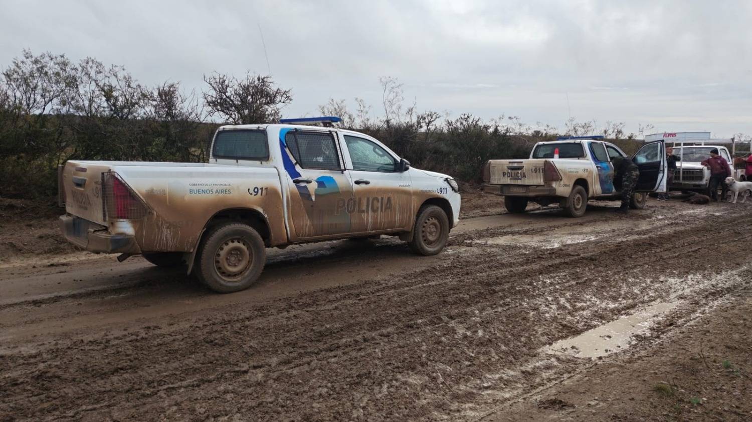 Capturan a un cazador que llevaba un jabalí muerto en el habitáculo del motor