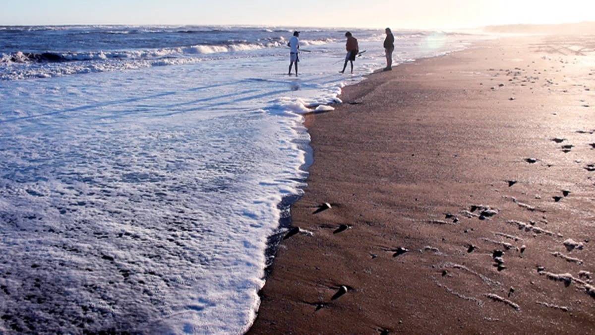 Conocer para proteger: la ciencia mira el futuro de la costa