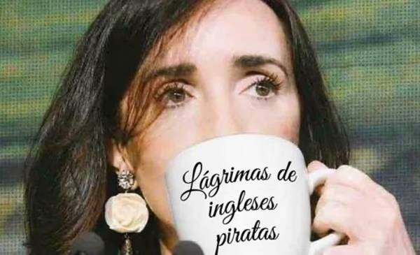 "Lágrimas de ingleses piratas": la respuesta de Villarruel a un tuit contra la Selección