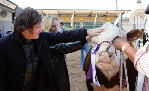 La agenda del Gobierno para esta semana: Milei viaja a Brasil y estará en la apertura de la Rural