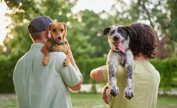 Día Mundial del Perro: cinco actividades para fortalecer el vínculo