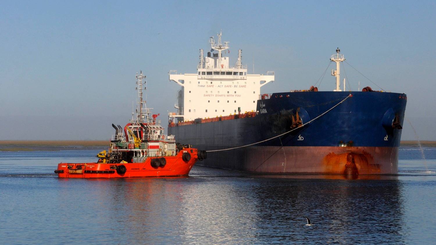Exportaciones de granos: Bahía Blanca cerró el semestre con una suba del 19 por ciento