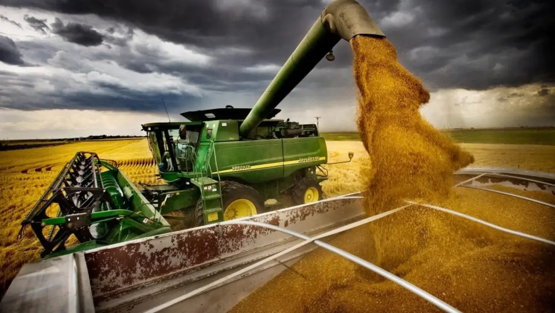 Alimentos: cuando la sustentabilidad se convierte en el eje del debate