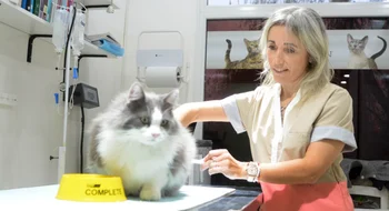 Suspenden por una semana la guardia veterinaria nocturna tras amenazas a una profesional