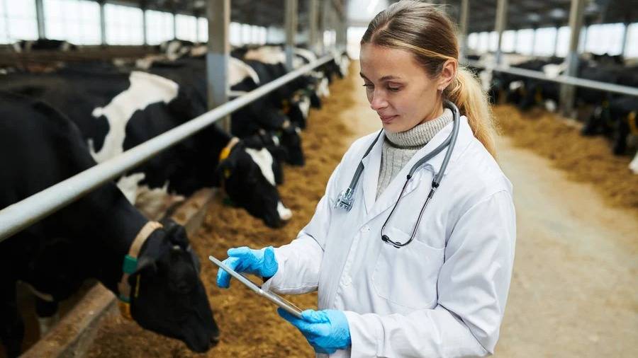 Salud animal: ¿por qué el mercado se encamina a duplicar su tamaño para 2032?
