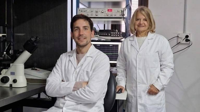 Científicos bahienses realizaron un avance clave para entender el impacto del cannabis en el cerebro