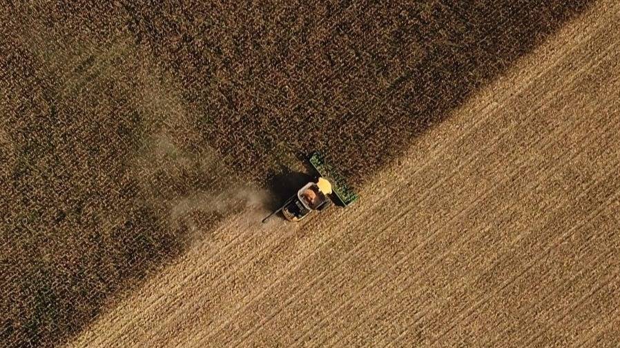 Retenciones: ¿de qué manera el esquema frena la competencia frente a un mundo que subsidia?