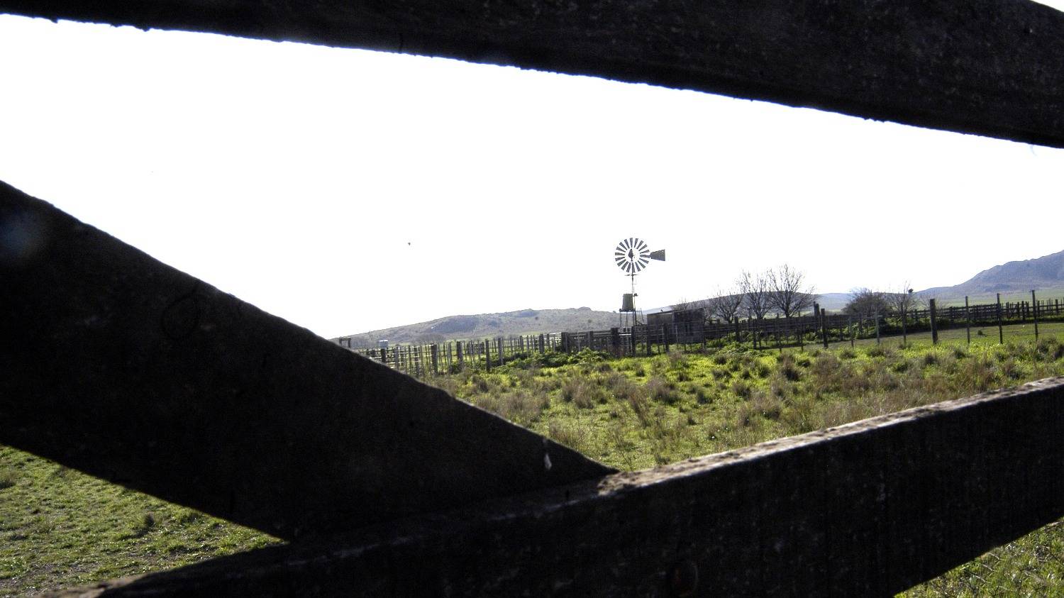 ¿Qué impacto tiene el costo de arrendamiento en la rentabilidad agropecuaria?