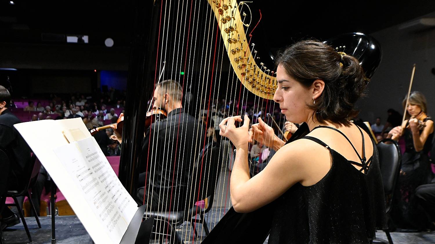 La Orquesta Sinfónica, con un programa de gran fuerza expresiva  