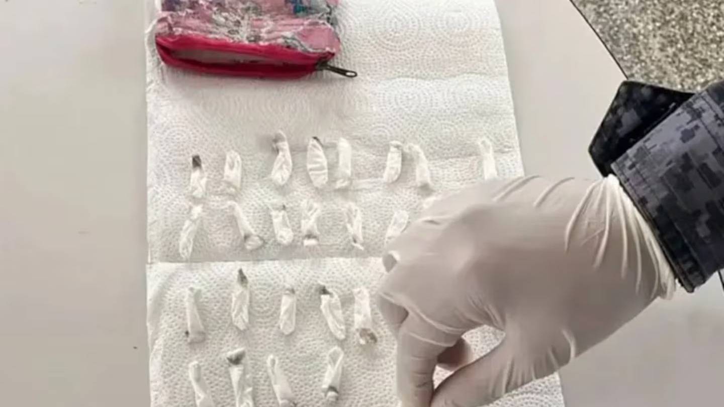 Córdoba: un nene de dos años encontró un monedero con 71 envoltorios de cocaína en un jardín