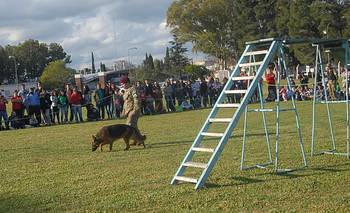 Festejos por el Día del Niño, en la Base Naval