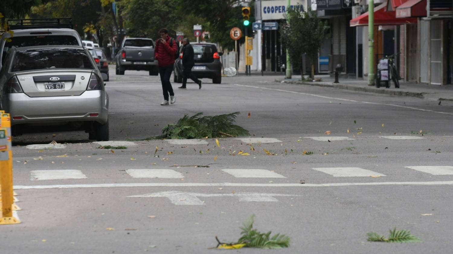 Ráfagas de hasta 70km/h: alertas por vientos para Bahía Blanca