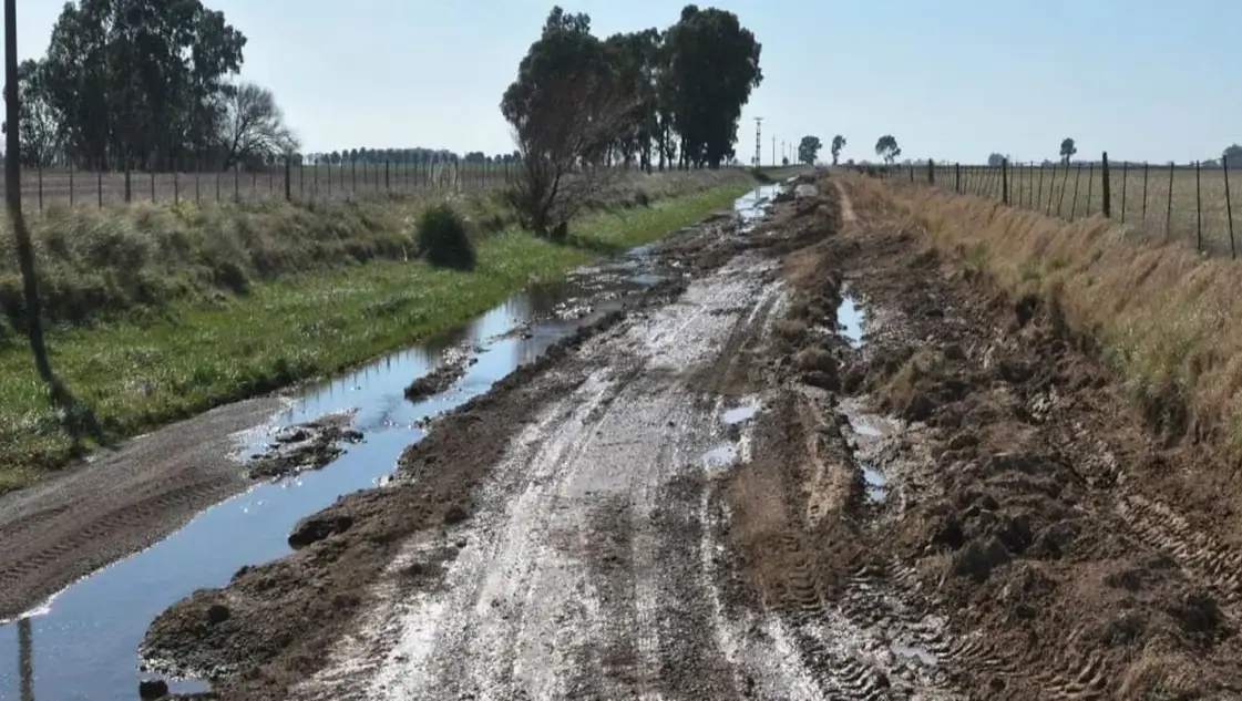 Casi el 80 % de los productores afirman que los caminos se encuentran en mal estado