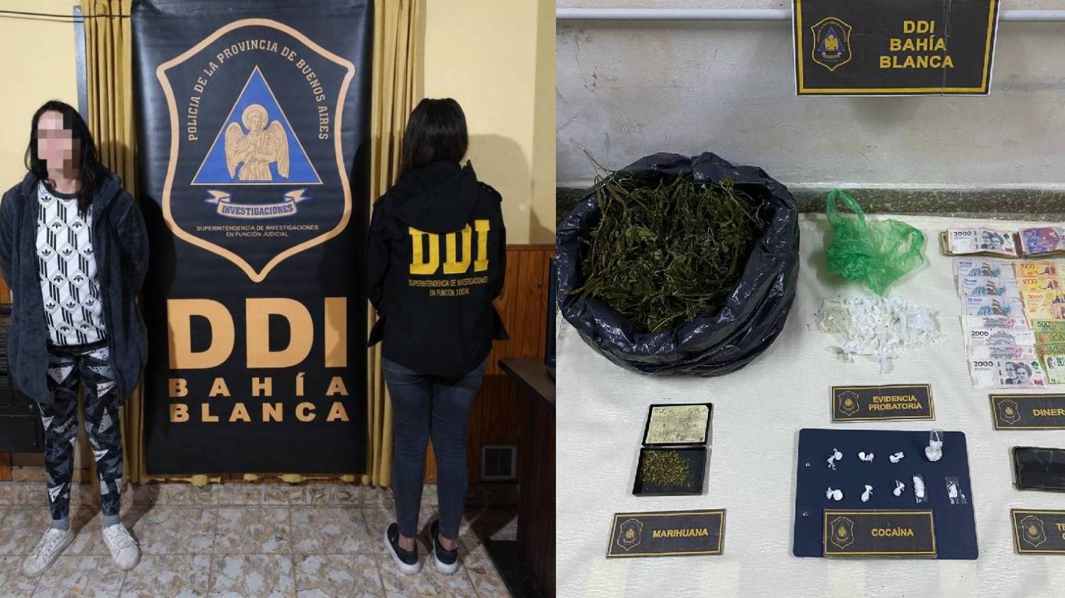 Detuvieron a una mujer en un allanamiento en barrio Pedro Pico
