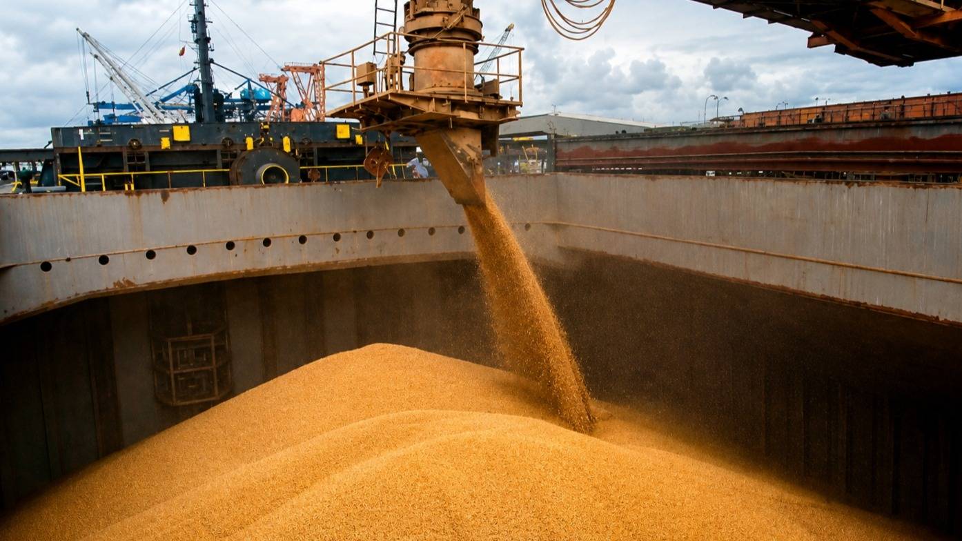 El tractor de la exportación: las cifras que explican el liderazgo de la agroindustria argentina