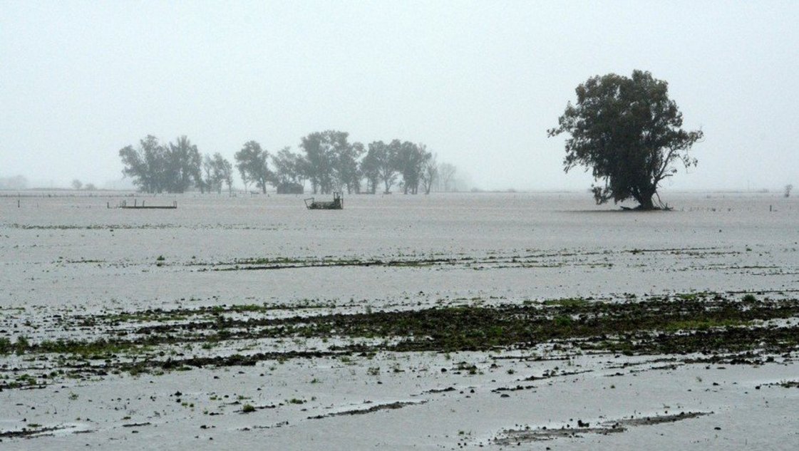 Las inundaciones tienen en vilo a la provincia: estiman pérdidas por 1.500 millones de dólares Las inundaciones tienen en vilo a la provincia: estiman pérdidas por 1.500 millones de dólares