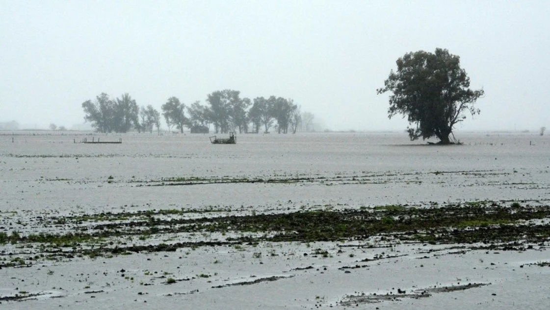 Las inundaciones tienen en vilo a la provincia: estiman pérdidas por 1.500 millones de dólares Las inundaciones tienen en vilo a la provincia: estiman pérdidas por 1.500 millones de dólares
