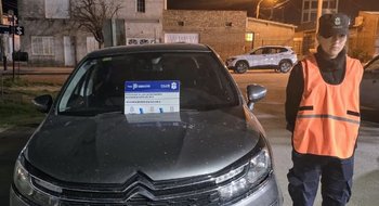 Detuvieron a una mujer con un auto robado y a otra por una causa de armas