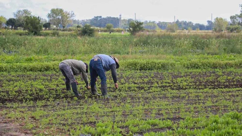 Desde la UATRE advierten que hay 120 mil puestos de trabajo en peligro
