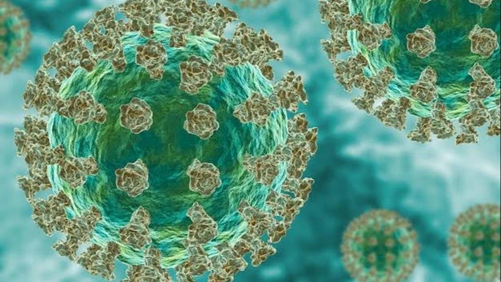 Argentina detectó los primeros casos de la variante BA.3.2 de COVID: qué se sabe