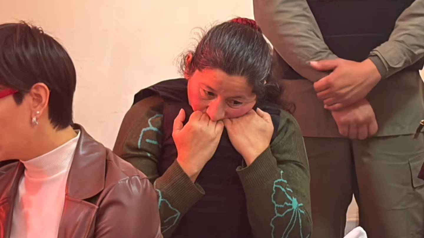 Caso Loan: Laudelina Peña se quebró en el juicio, pidió perdón “por las mentiras” y complicó a Maciel