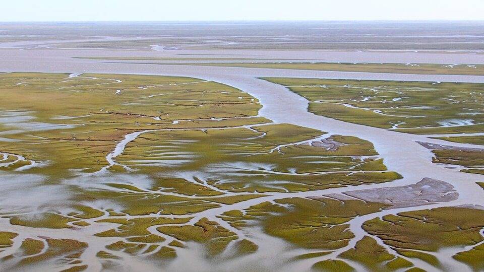 Confirman contaminación con microplásticos en el estuario de Bahía y en playas de la región
