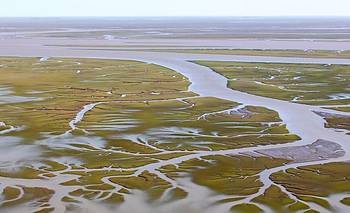 Confirman contaminación con microplásticos en el estuario de Bahía y en playas de la región
