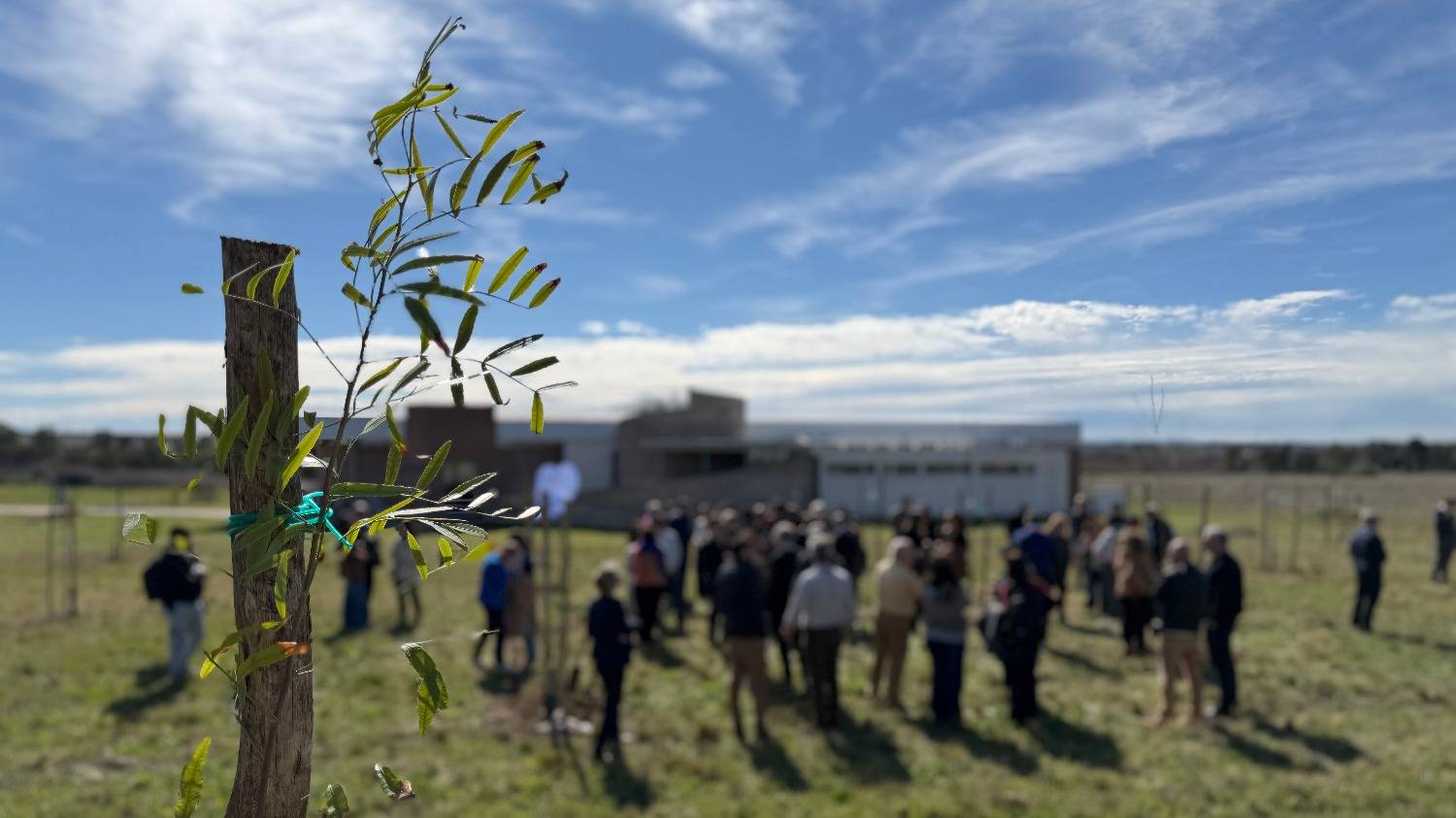 El legado verde del campus de la UNS: una historia que va más allá de los árboles