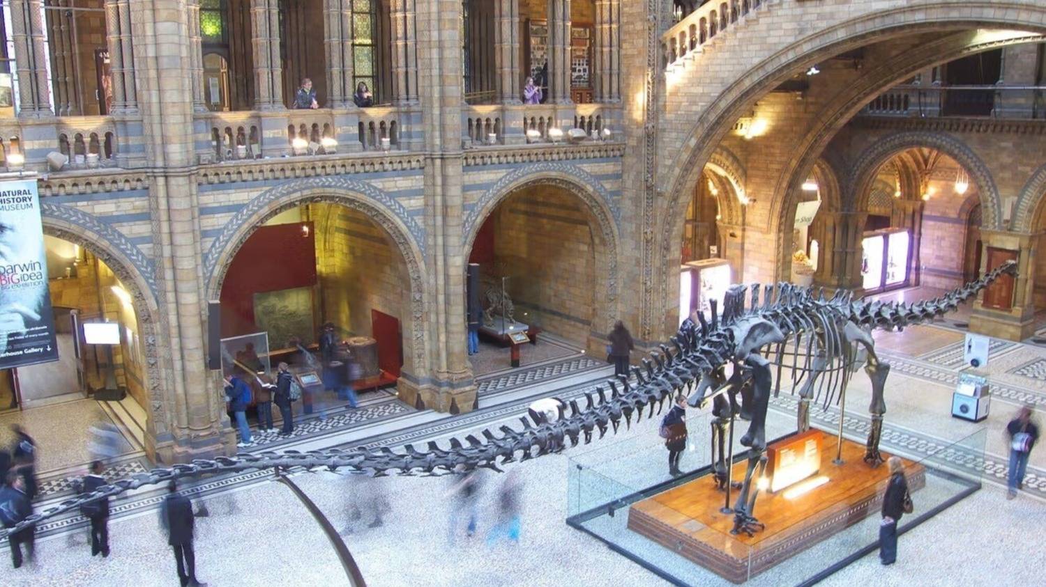 Reabren una galería del Museo de Historia Natural de Londres cerrada desde la Segunda Guerra Mundial