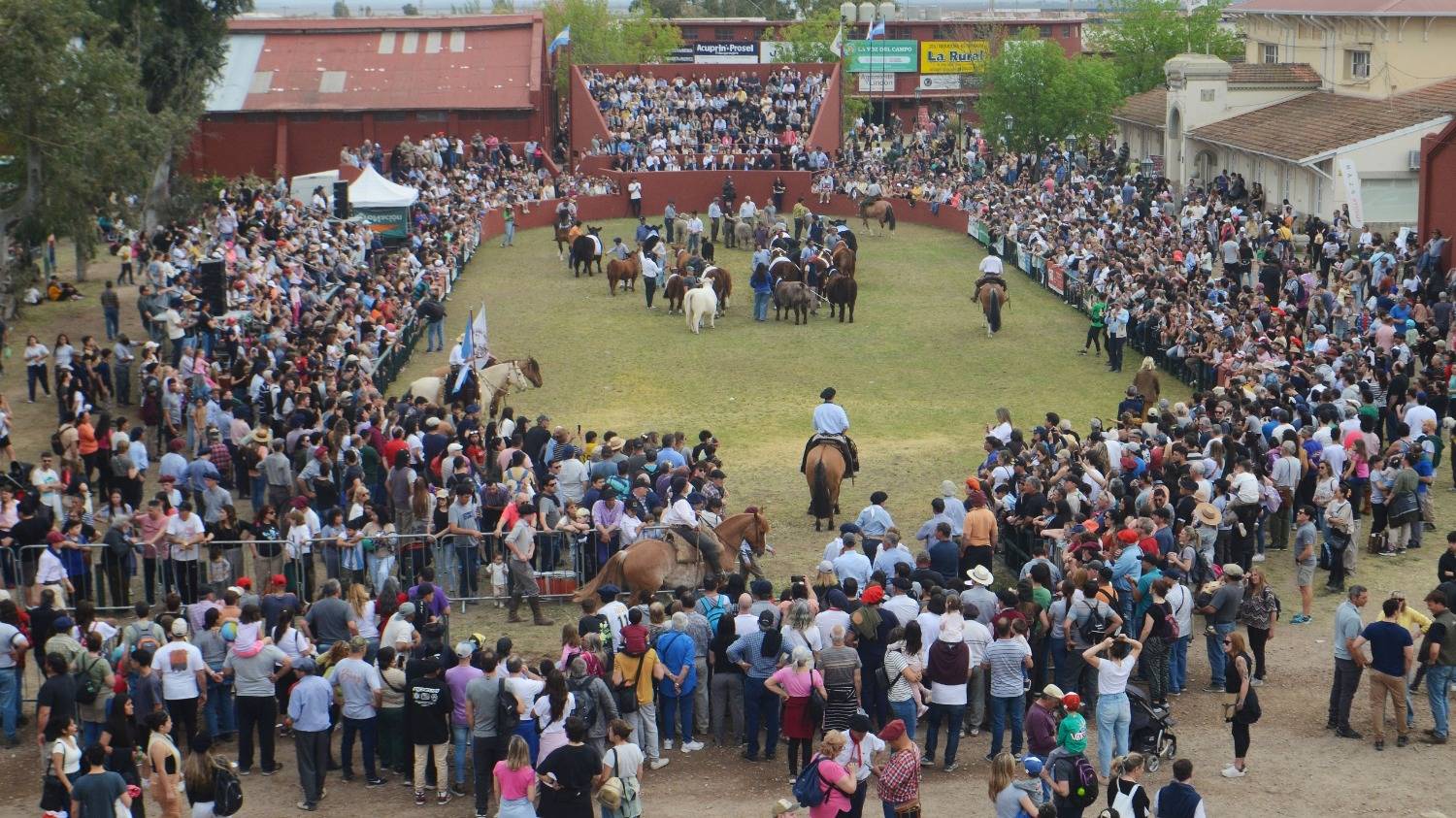 Casi 400 animales y todo vendido: se viene la Exposición Nacional de Villa Bordeu