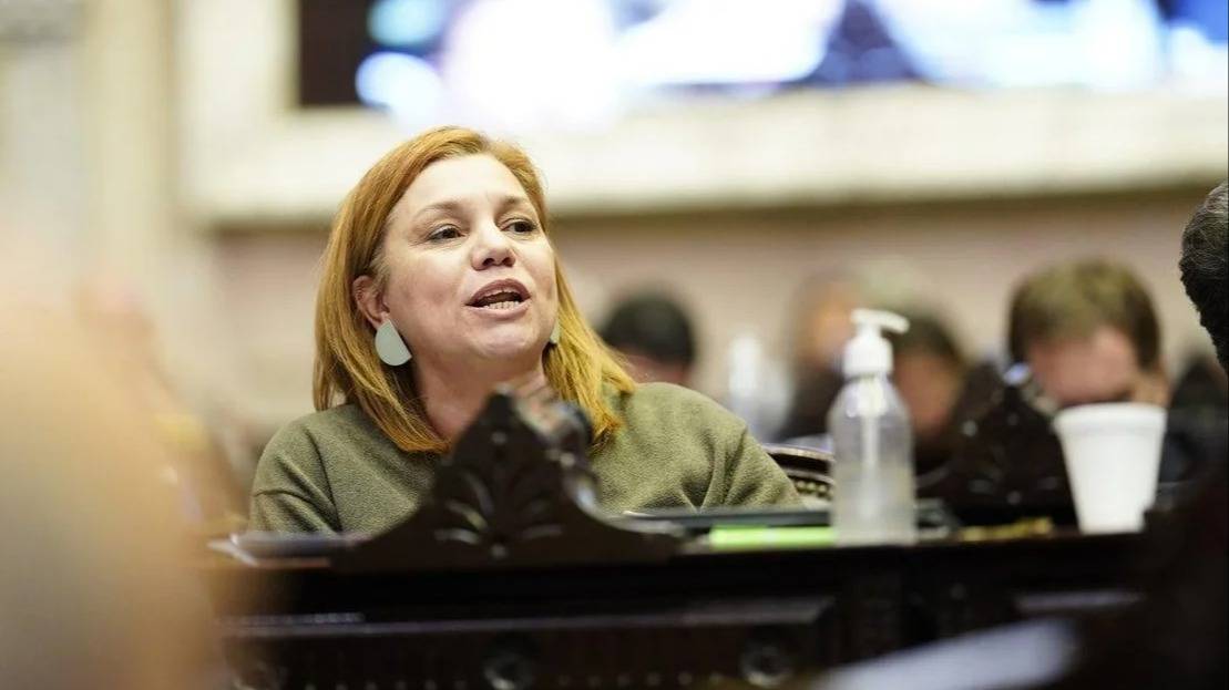 Zona Fría: una diputada bahiense cruzó a un senador radical por celebrar la quita de subsidios