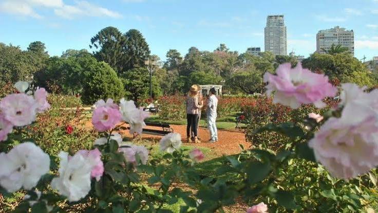 Primavera 2026: qué día y a qué hora comienza en Argentina y por qué no será este lunes 21