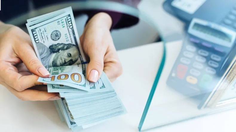 Dólar en Bahía Blanca: a cuánto finalizaron este lunes todas las cotizaciones
