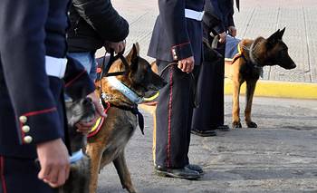 El Municipio entregó materiales de trabajo para la Agrupación Perros de Guerra